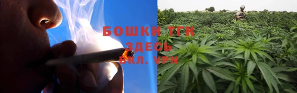 стаф Заводоуковск