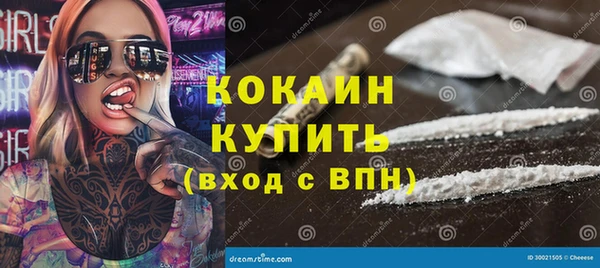 стаф Заводоуковск