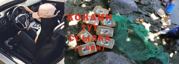 стаф Заводоуковск