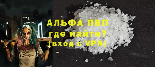 стаф Заводоуковск