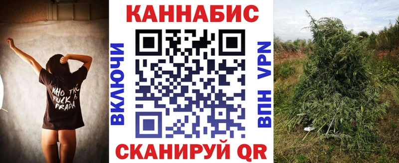 мега онион  Княгинино  Бошки Шишки индика 